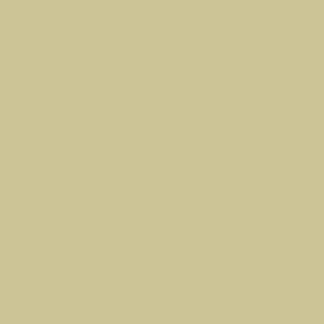 K295- Pale khaki plain plain knit