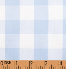 B45 - Blue large check