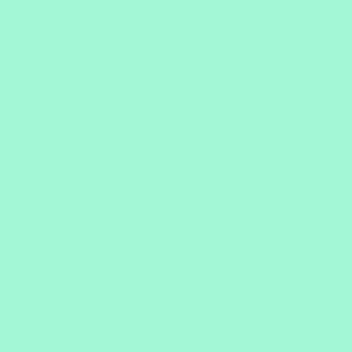 A41.0 - Mint pique plain