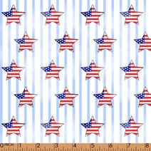 PP223-US independence  fabric printing 4.0RD6 (1)