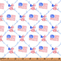 PP224-US independence  fabric printing 4.0 RD7 (1)