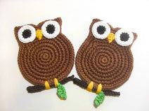 CP6- Brown Owl