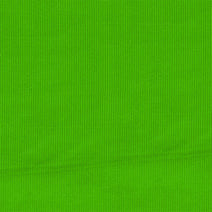 N 3.1 Light green plain corduroy 100% cotton