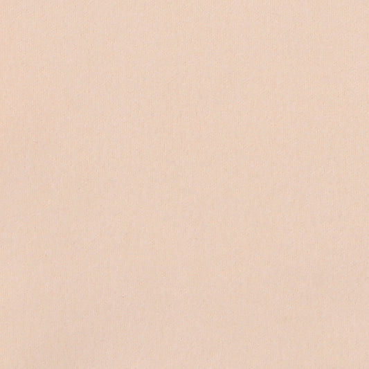 WL12 - Beige plain like wool fabric