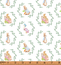 K376- Ducks, Peter rabbit knit printing 4.0