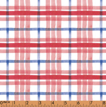 PP37 - US independence plaid fabric 7 printing 4.0