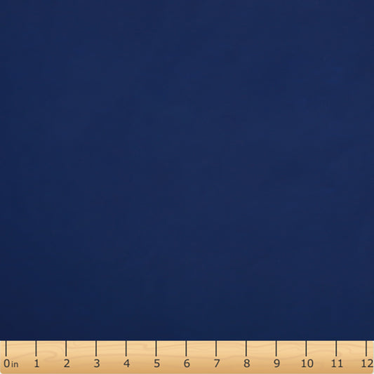 RC2- Navy raincoat fabric