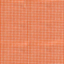 B17.1 - Orange gingham