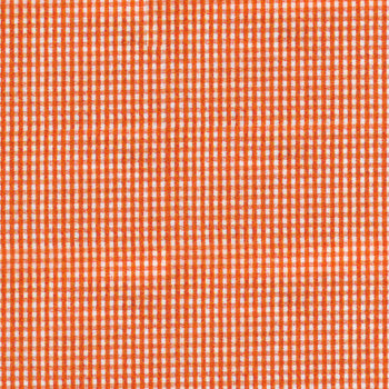 B17.1 - Orange gingham