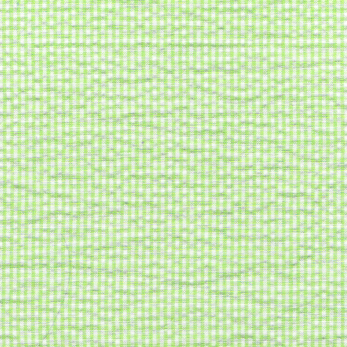 XB3 - Lime Green Gingham Seersucker