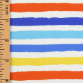 f125--muticolor-stripe-woven-printing-40