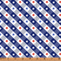 pp228-us-independence--fabric-printing-40rd11-1